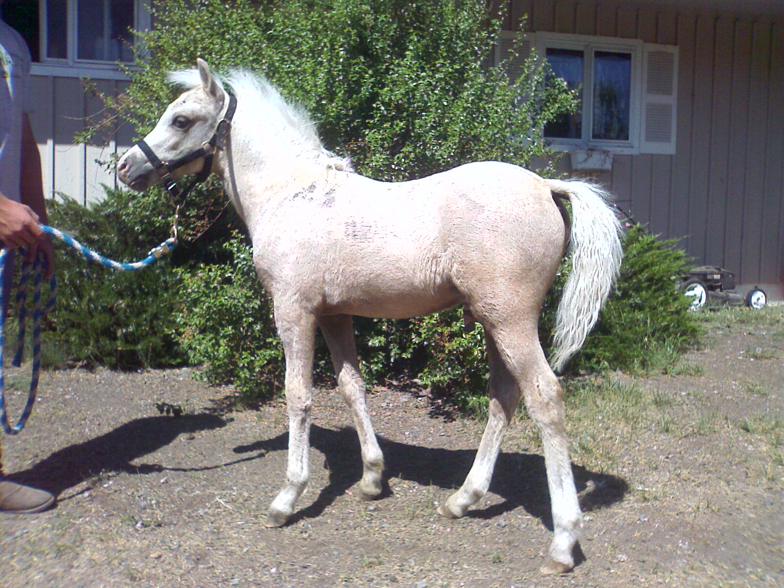 Aiden almost 3 months